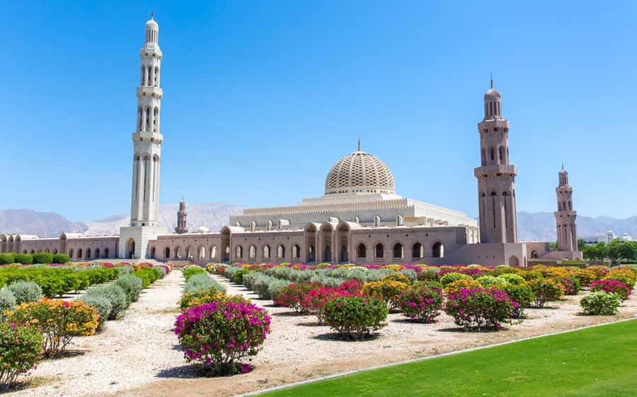 Muscat : 4 hours private Tour of Muscat City with Pick-up - Mutrah Fort, Mutrah Souq, Corniche Views, and the Fish Market