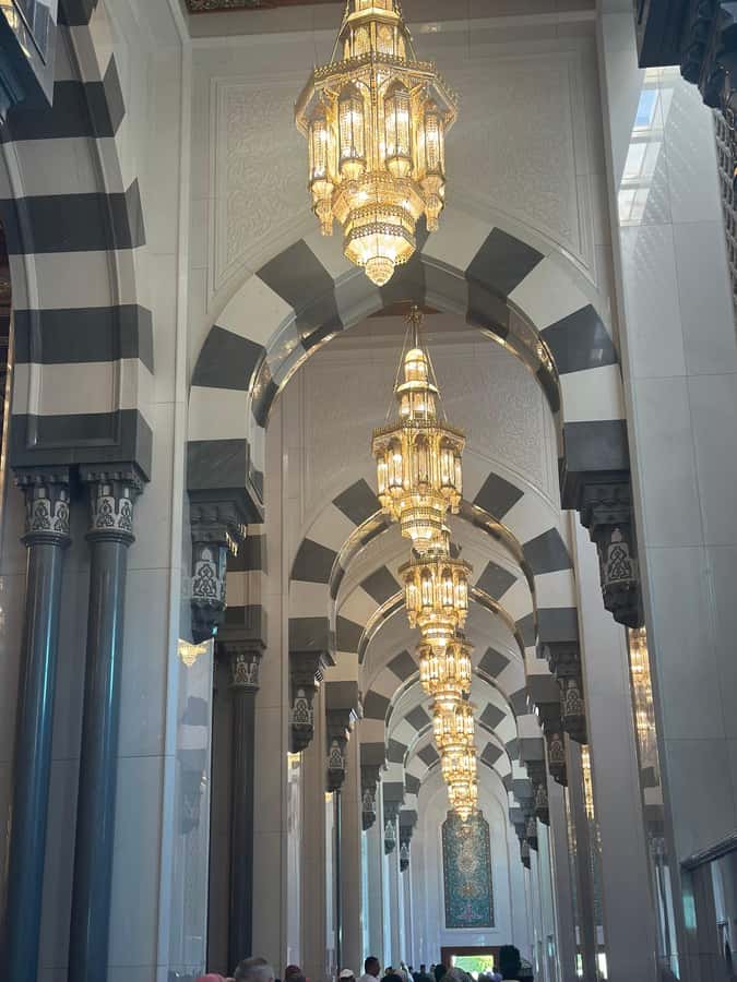 Muscat : 4 hours private Tour of Muscat City with Pick-up - Al Alam Palace Photo Time and Fort Views