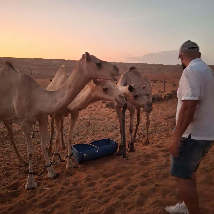 Muscat: Bidiya Desert Sunset Camel Ride with Transfer - The camel ride: short, fun, and not just a photo op