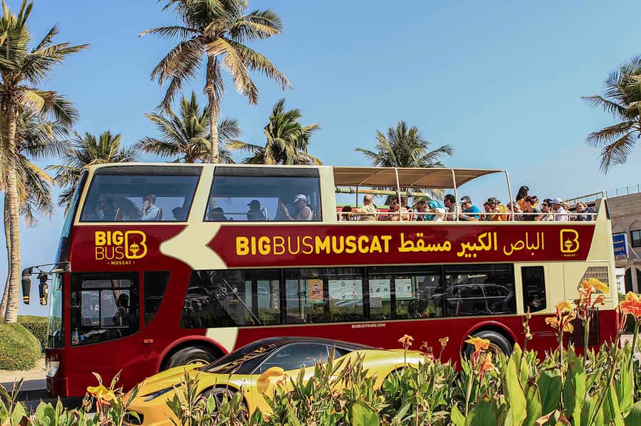 Muscat: Big Bus Hop-On Hop-Off Sightseeing Tour - Deck choice: air-conditioned front windows vs sun canopy vs open rear