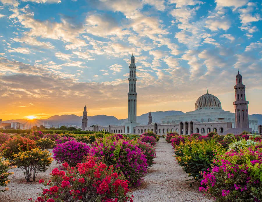 Muscat: Budget Friendly City Tour - Key highlights worth your time