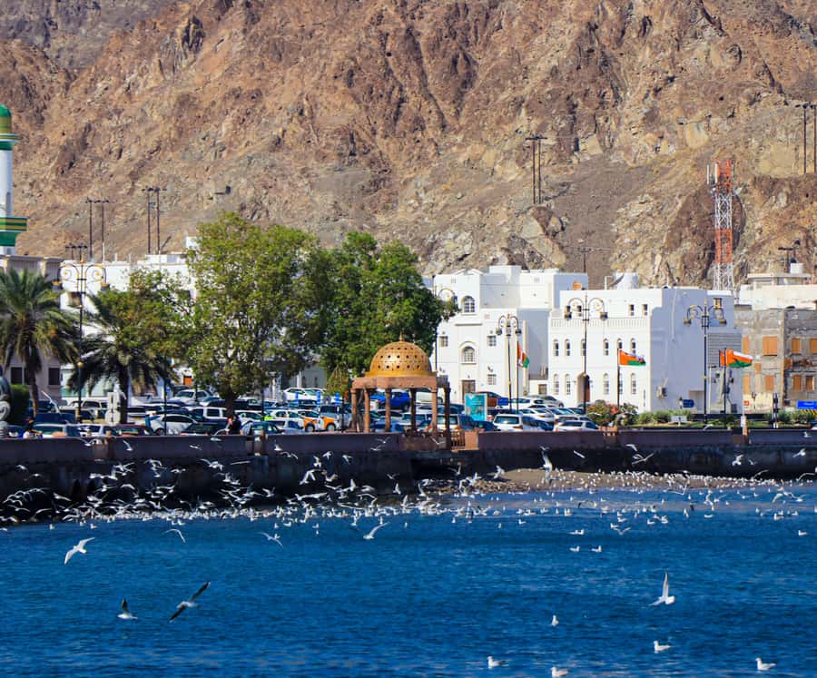 Muscat: Budget Friendly City Tour - Fort viewpoints near Mirani and Jalali: a quick photo win with a real reason