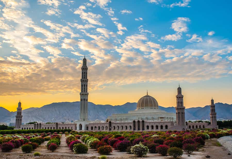 Muscat: City Highlights Tour with Optional Transfers - Key Points You’ll Actually Care About