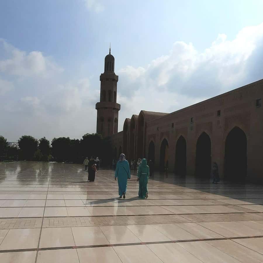 Muscat: City Highlights Tour with Optional Transfers - Price and Value: What $40 Plus Tickets Really Means