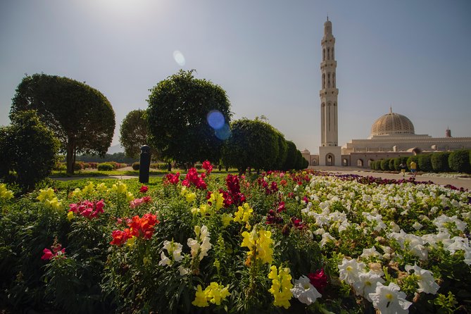 Muscat City Tour Full Day - Private Guided Tour from Muscat - Mutrah Corniche: harbor views, a short walk, and a breather