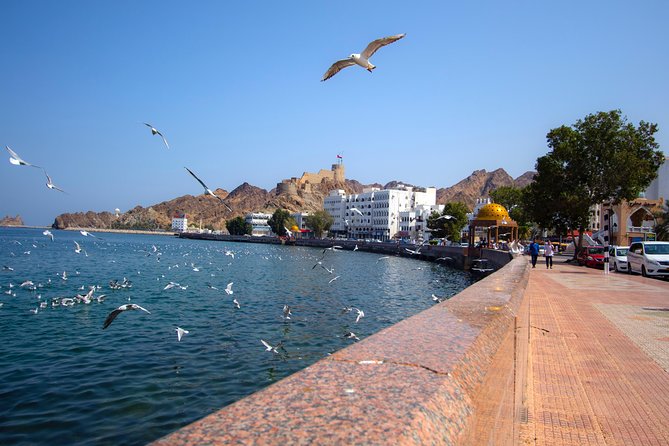 Muscat City Tour Full Day - Private Guided Tour from Muscat - Al Alam Palace: royal architecture, best seen from the outside