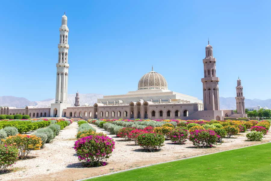 Muscat: City Tour of Grand Mosque, Old Souqs, Museum, & Fort - Timing, Timing, Timing: How to Make the 270 Minutes Work