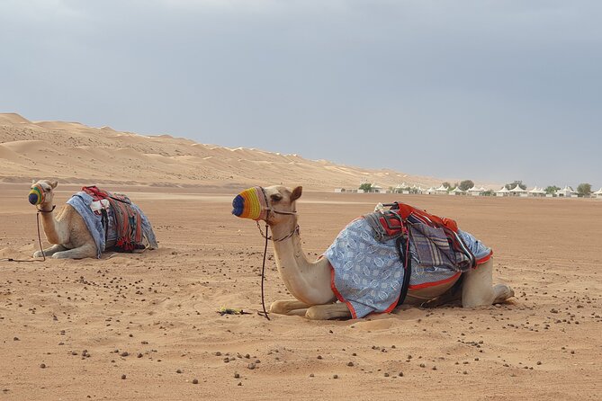Muscat City Tour with All Language Guide - Al Alam Palace: what you can see, what you cannot, and how to make the most of 20 minutes