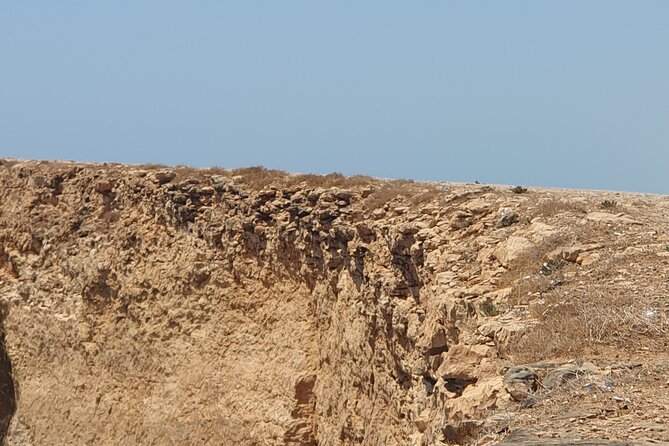 Muscat City Tour with All Language Guide - Price and value: what $235.60 covers, and where it might not