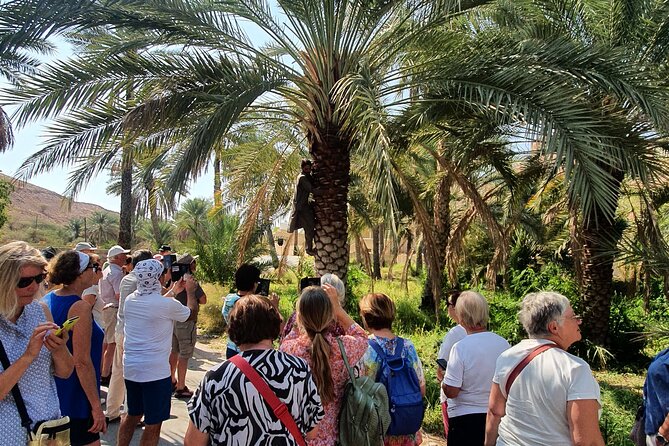 Muscat City Tour with All Language Guide - Sultan Qaboos Grand Mosque: dress code, design details, and why it is a must