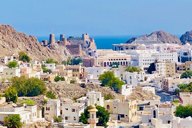 Muscat City Tour with Omani Guide (Private). - A private car, an English-speaking guide, and the smart way to see Muscat