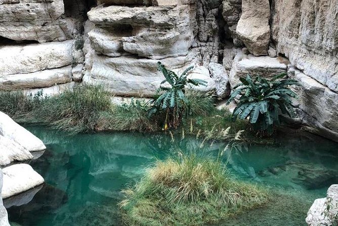 Muscat City & Wadi Shab Full-Day Adventure - Mutrah Souq: old trade routes, crowded lanes, and that Al Dhalam feel