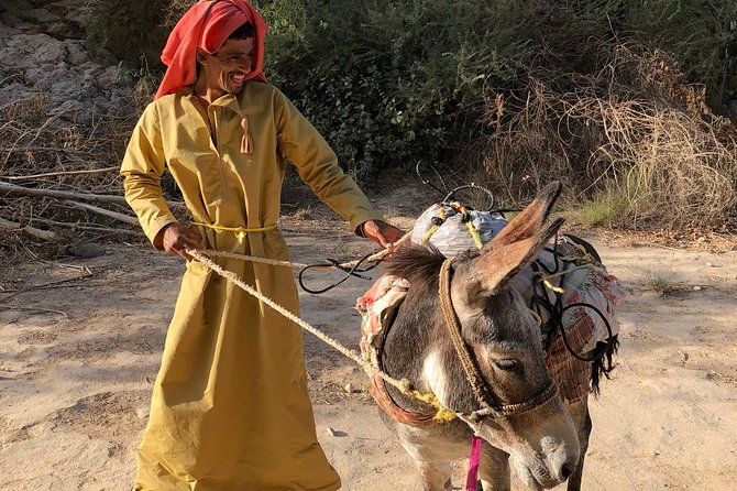 Muscat City & Wadi Shab Full-Day Adventure - Timing and pacing: how a day like this stays enjoyable