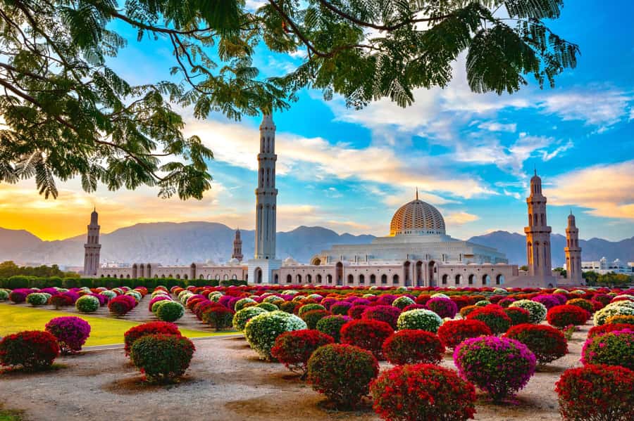 Muscat: Day Tour with Omani Lunch, Hotel Pickup, and Airfare - A 15-hour Muscat day trip that actually feels private