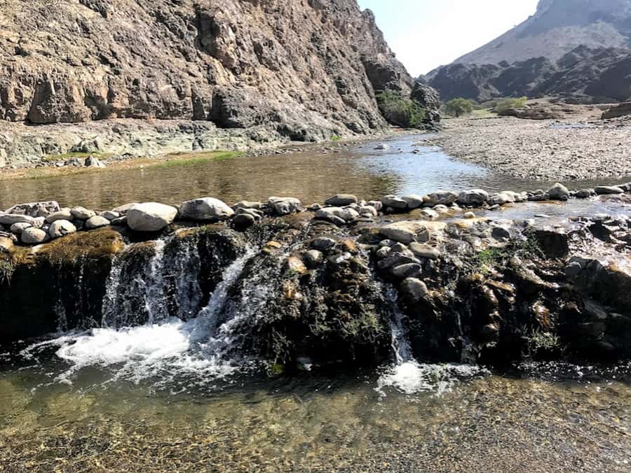 Muscat: Day Tour with Omani Lunch, Hotel Pickup, and Airfare - Food and the pace: lunch in Muscat, dinner in Sohar