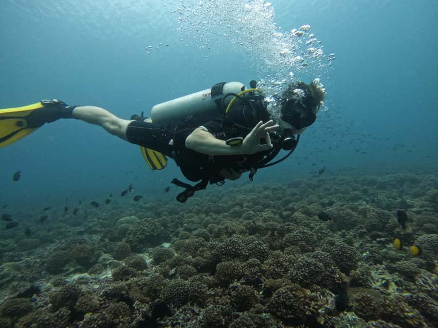 Muscat: Daymaniat Islands Scuba Diving for Beginners - Arriving in Muscat and getting ready for Daymaniat Islands