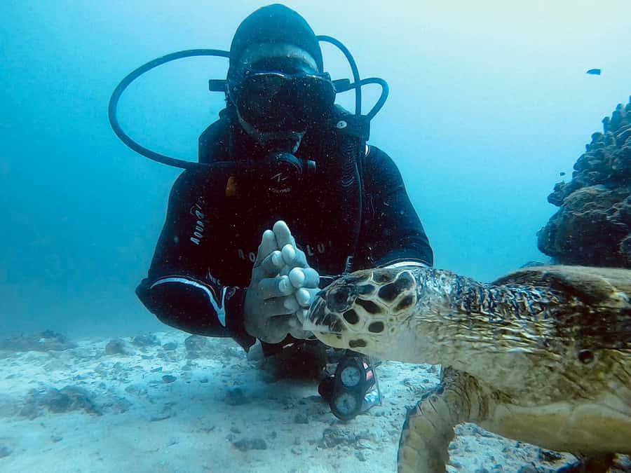 Muscat: Daymaniat Islands Scuba Diving for Beginners - Theory on the boat: learning the basics in plain language