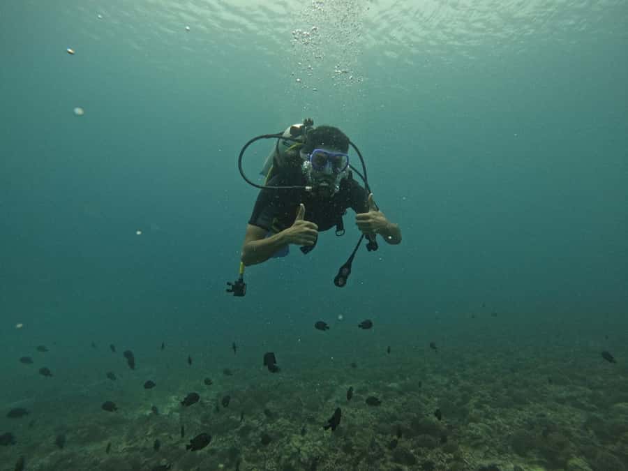 Muscat: Daymaniat Islands Scuba Diving for Beginners - One underwater tank and snorkeling time: how the day is paced