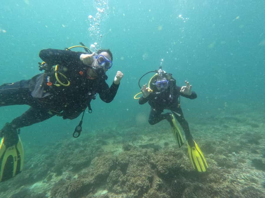 Muscat: Daymaniat Islands Scuba Diving for Beginners - Price and value: is $194 worth it for a 4-hour starter trip?