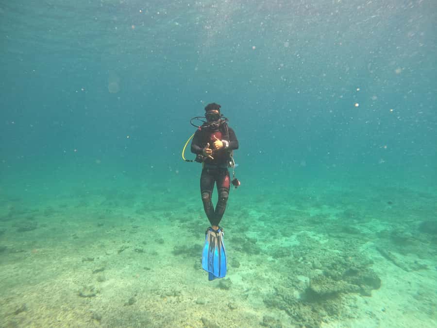 Muscat: Daymaniat Islands Scuba Diving for Beginners - Who should book this Muscat scuba starter, and who should skip it
