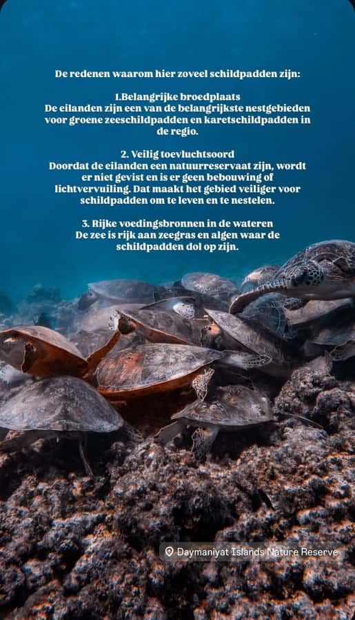 Muscat: Daymaniat Islands Snorkeling Tour with Refreshments - Key Points That Make This Tour Worth Your Time
