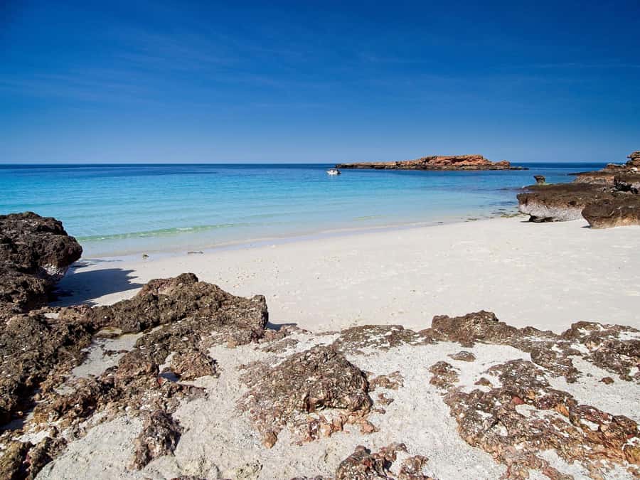 Muscat: Daymaniat Islands Snorkeling Tour with Refreshments - Environmental Awareness and the No-Touch Rule That Matters