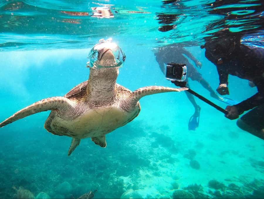 Muscat: Daymaniat Islands Snorkeling Trip with Brunch - Key Things I’d Put on Your Must-Do List