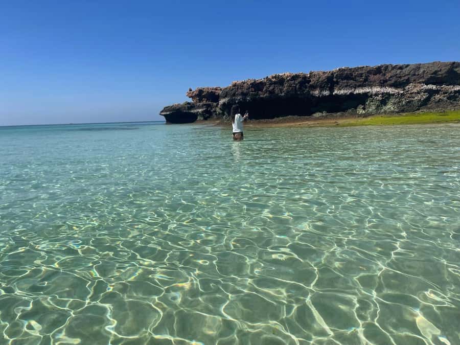 Muscat: Daymaniat Islands Snorkeling Trip with Brunch - Underwater Highlights: Sea Turtles, Fish Color, and Why the Guide Matters