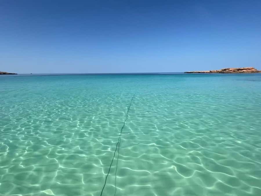Muscat: Daymaniat Islands Snorkeling Trip with Brunch - Who Should Book This Trip, and Who Should Skip It