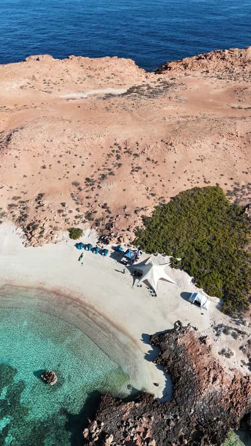 Muscat: Daymaniat Islands Tour - Key highlights you’ll care about