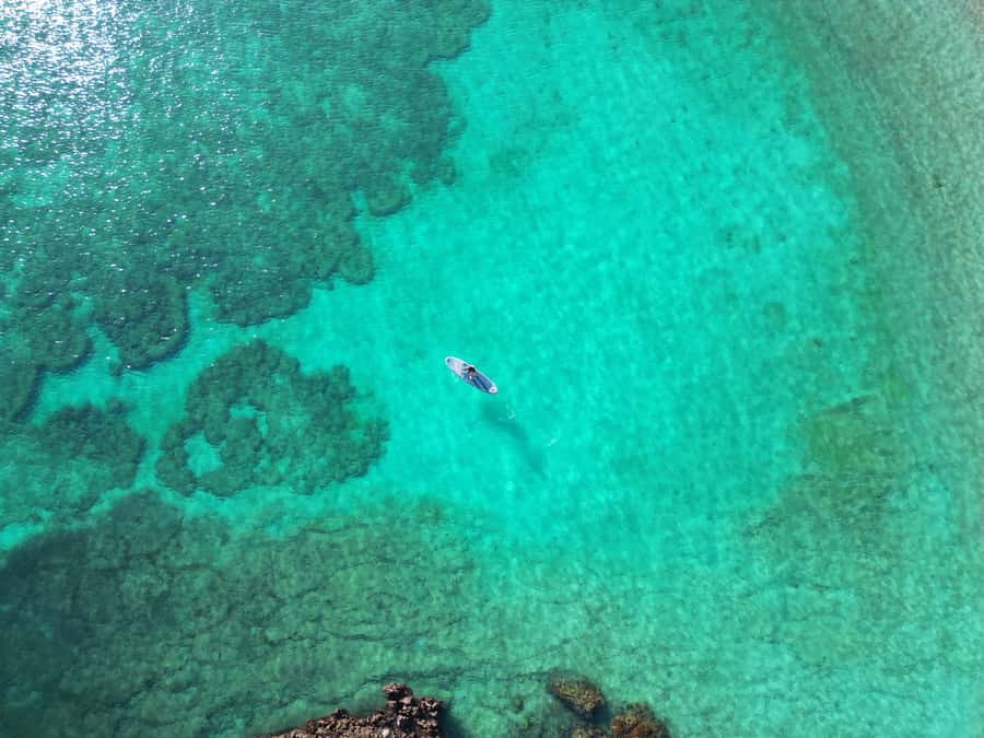 Muscat: Daymaniat Islands Tour - Why the Daymaniat Islands trip feels different from a generic snorkel day