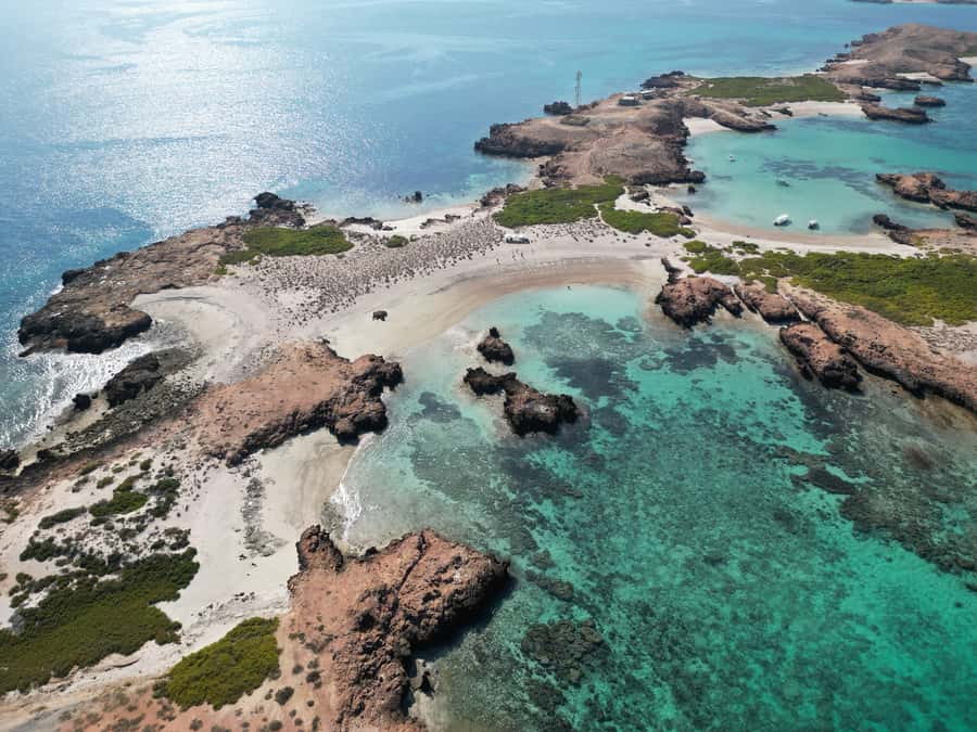 Muscat: Daymaniat Islands Tour - Snorkeling with turtles: what you can expect underwater