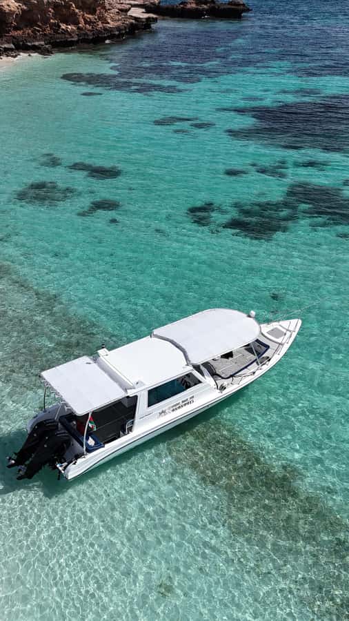 Muscat: Daymaniat Islands Tour - Underwater photography and GoPro memories (with an eye on what’s included)