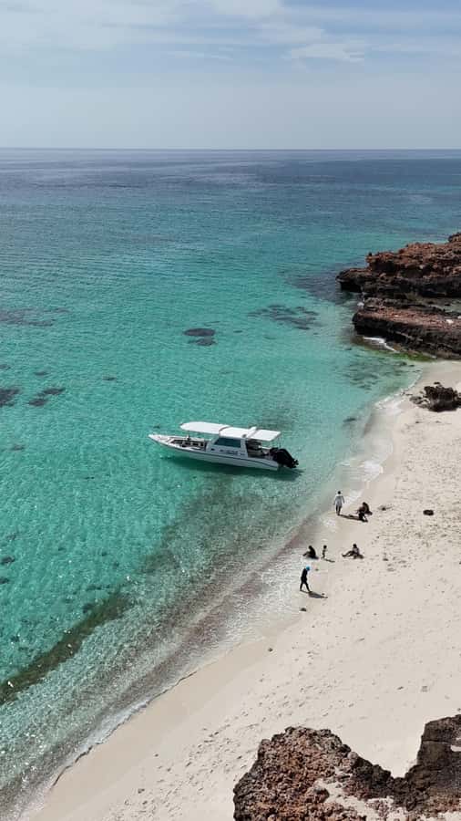 Muscat: Daymaniat Islands Tour - Boat day comfort: guides, group vibe, and pacing