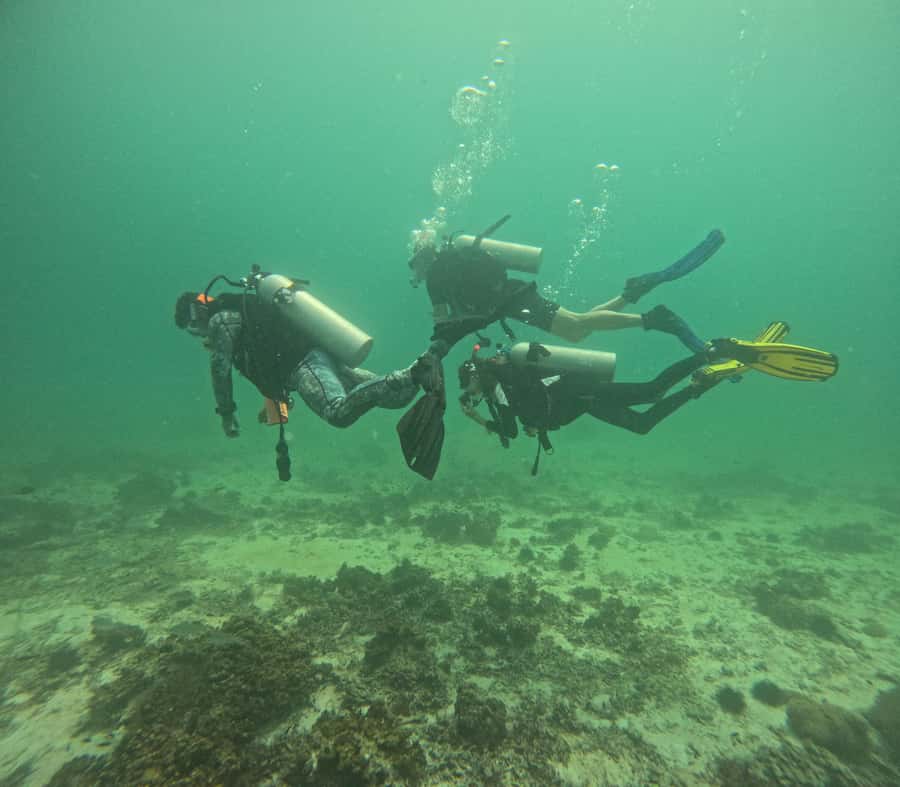 Muscat: Daymaniat Islands Try Scuba Diving - Daymaniyat Islands Scuba From Muscat: What Makes It Worth Your Time