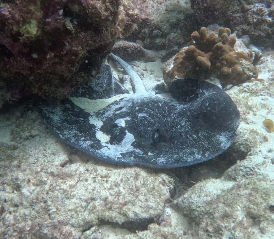 Muscat: Daymaniat Islands Try Scuba Diving - Equipment, Instructor Care, and the Little Details That Matter