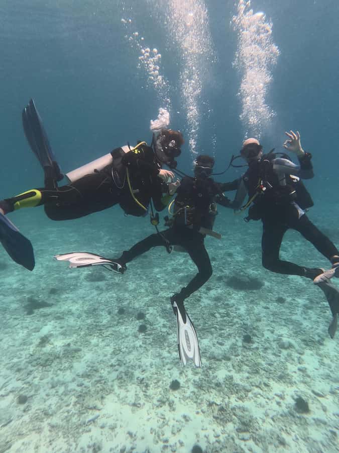 Muscat: Daymaniat Islands Try Scuba Diving - Food, Breaks, and Why the 4-Hour Format Works