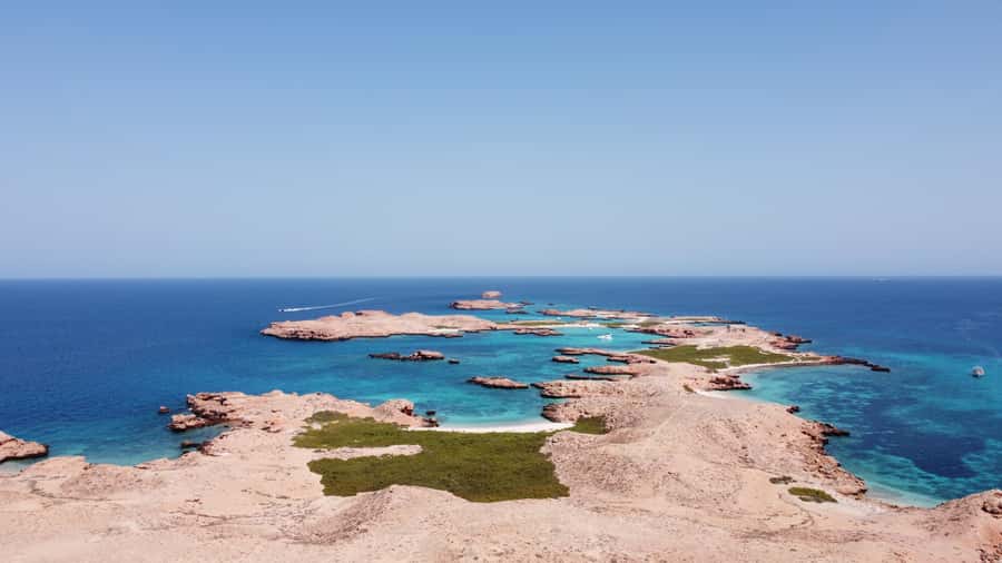 Muscat: Daymaniyat Island Scuba Dive 2 locations + BBQ Lunch - Second underwater session, better chances for the big animals