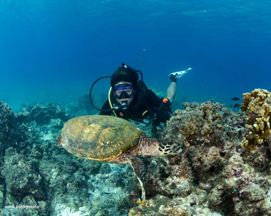 MUSCAT: Daymaniyat Island Snorkeling & Try-Dive + BBQ Lunch - Key things to know before you go