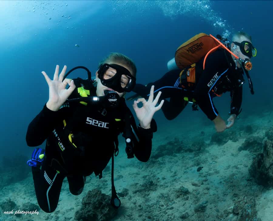 MUSCAT: Daymaniyat Island Snorkeling & Try-Dive + BBQ Lunch - Price and value: is $165 a fair deal for a 7-hour day?