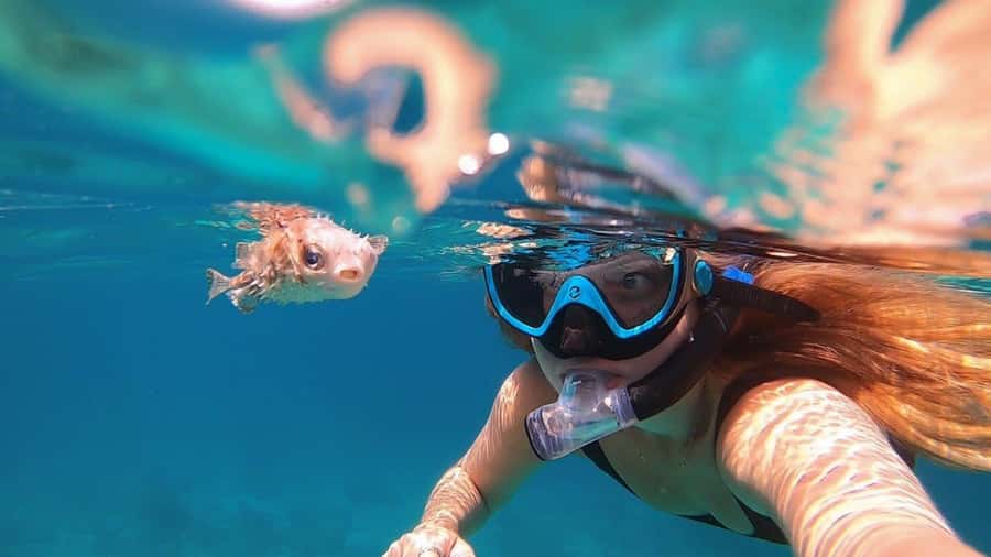 Muscat: Daymaniyat Island Snorkeling with Turtles Tour - From Marina Bandar Al Rowdha to open-water snorkeling in about six hours