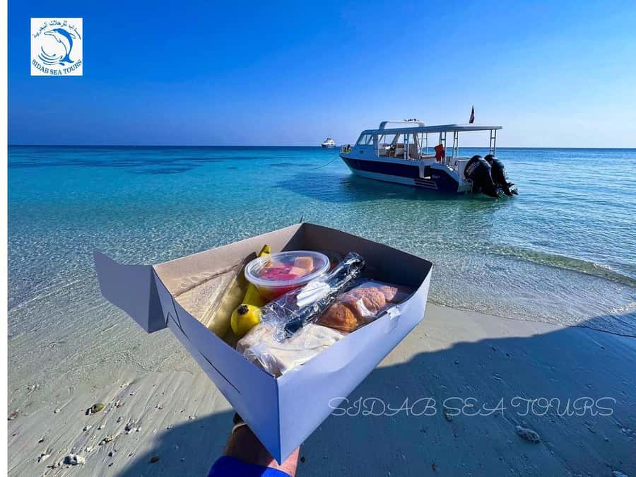 Muscat: Daymaniyat Island Snorkeling with Turtles Tour - Whale shark and dolphin watching from the boat: fun odds, not guarantees