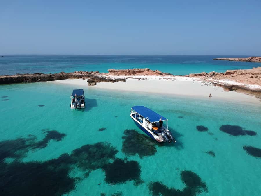 Muscat: Daymaniyat Island Snorkeling with Turtles Tour - What to pack for Daymaniyat snorkeling from Muscat