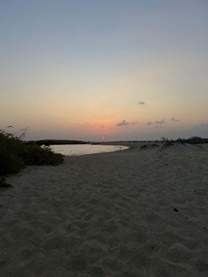 Muscat: Daymaniyat Islands Snorkeling Tour - Key things to know before you go