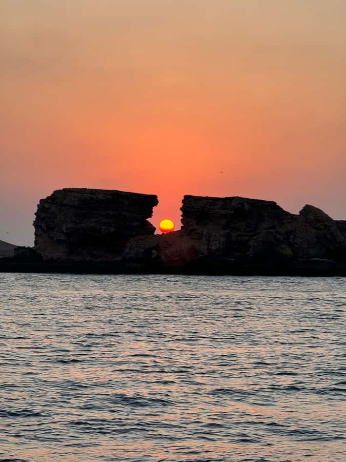 Muscat: Daymaniyat Islands Snorkeling Tour - The boat ride reality: speed, choppiness, and motion tips