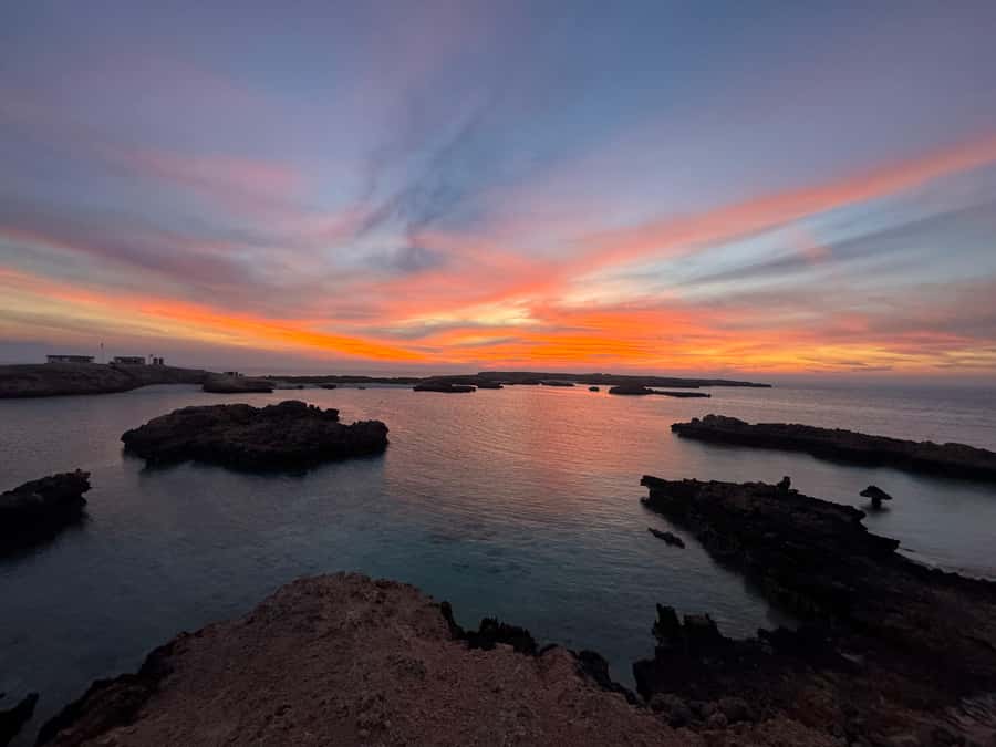 Muscat: Daymaniyat Islands Snorkeling Tour - Price and value: $59 that covers the hard parts