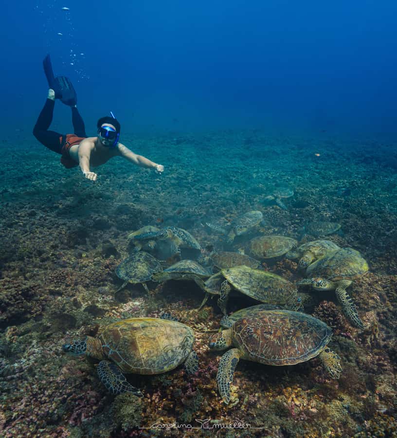 Muscat: Daymaniyat Islands Snorkeling Trip with BBQ Lunch - Why Daymaniyat Islands feel like a different Oman