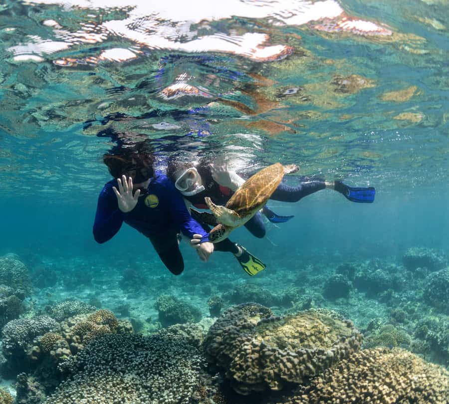 Muscat: Daymaniyat Islands Snorkeling Trip with BBQ Lunch - Snorkeling stop one: two sites picked for the day