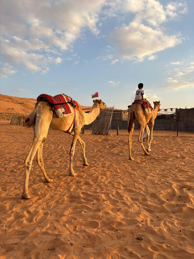 Muscat: Desert Sunset &Wadi Bnai Khalid Full-Day Tour+Lunch - Wadi Bani Khalid Pools, Palms, And Cave Walk Moments