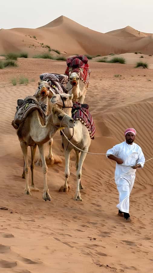 Muscat: Desert & Wadi Bani Khalid Tour with Quad Bike Option - Group size, comfort, and how the pace actually feels